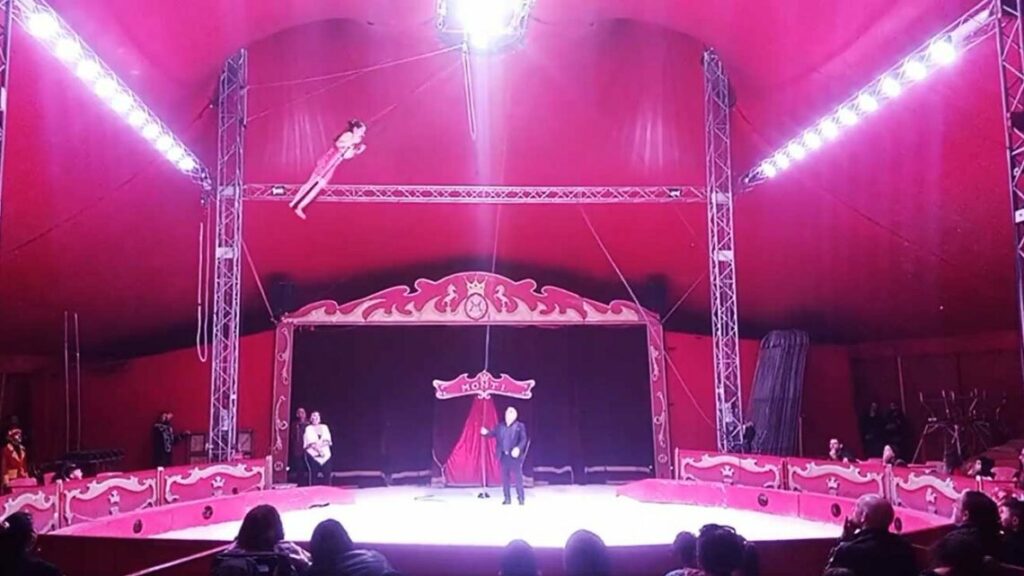 Vola sul suo trapezio, vola verso i suoi sogni. La giovanissima Amy incanta il pubblico del circo