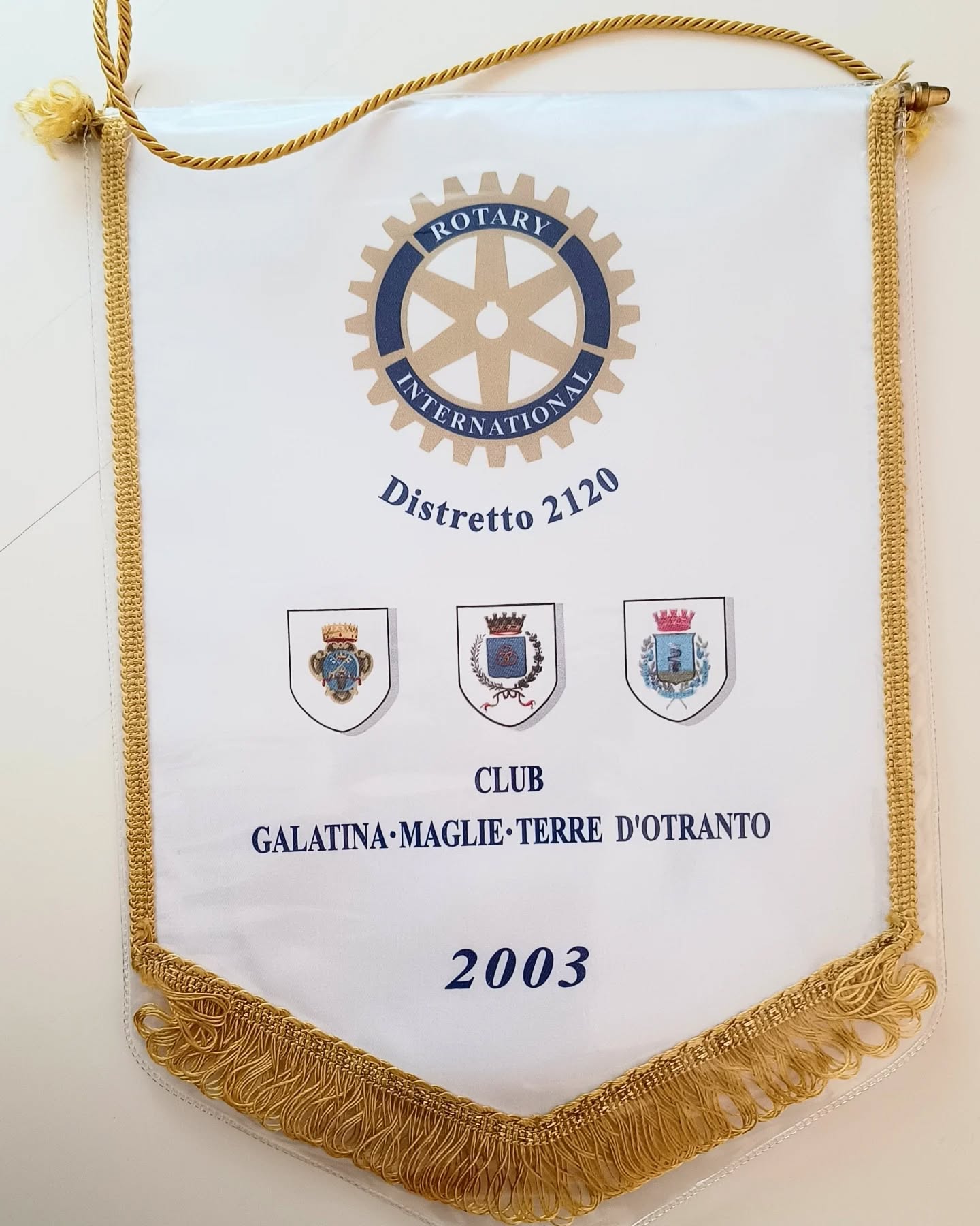 @rotary.galatina @rotarydistretto2120